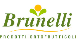 bulltec_logo_brunelli