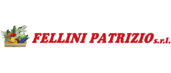 bulltec_logo_fellini_patrizio