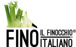 bulltec_logo_fino