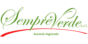 bulltec_logo_sempreverde