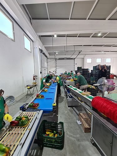 bulltec_peso_garantito_galleria_10