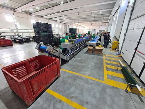 bulltec_peso_garantito_galleria_4