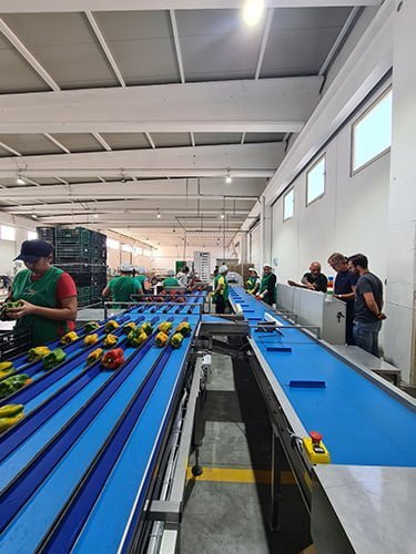 bulltec_peso_garantito_galleria_7