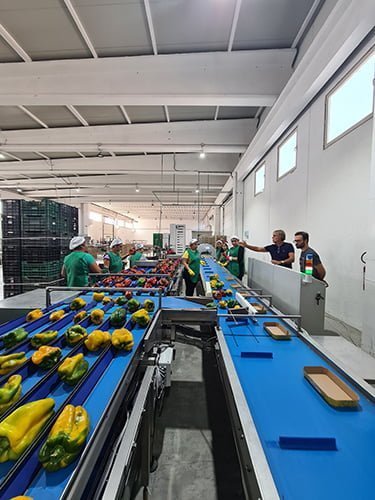 bulltec_peso_garantito_galleria_8