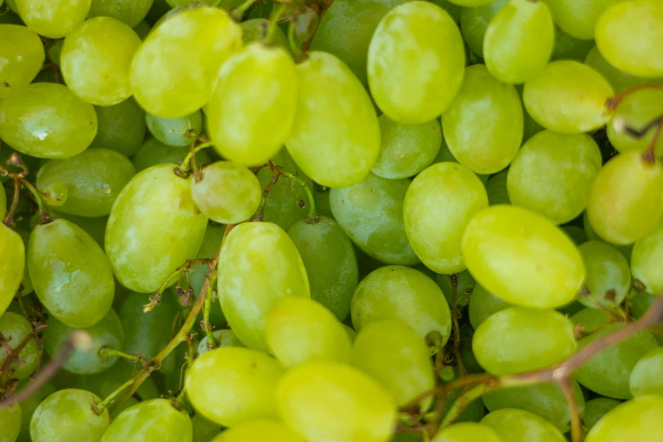 Progetto senza titolo (5)