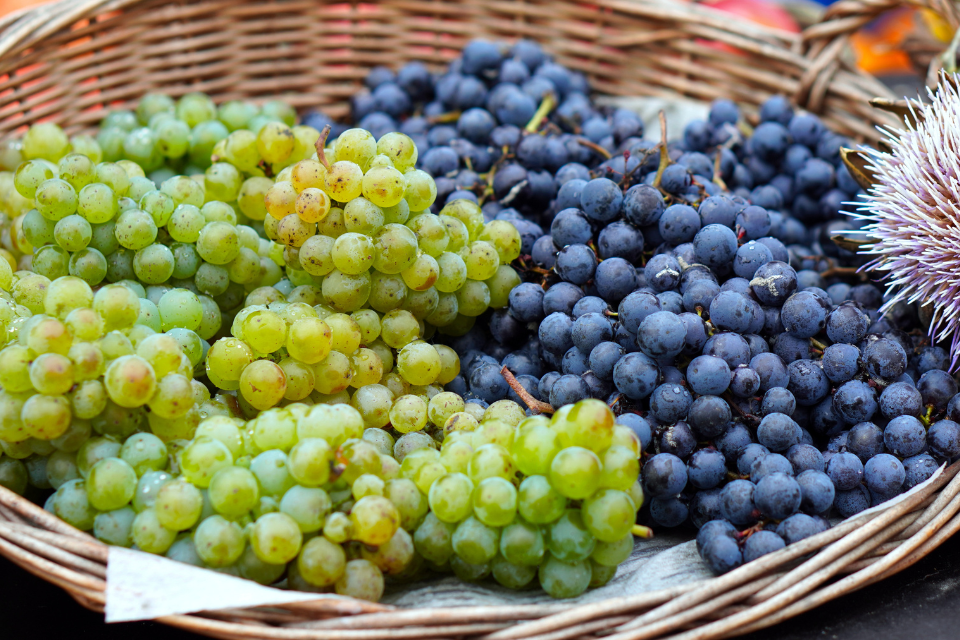 Progetto senza titolo (7)