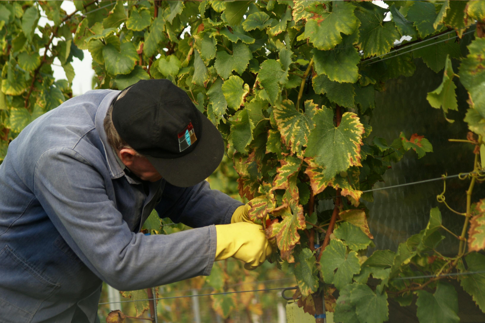 Progetto senza titolo (8)