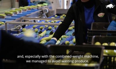 BULLTEC_per_PALUMBO_PIU_cover