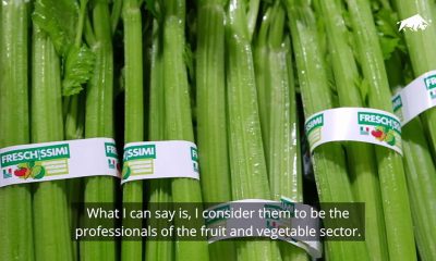 bulltec_copertina_fellini