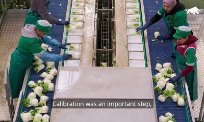 bulltec_copertina_lago_doro